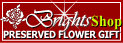 �ץꥶ���֥ɥե�����å�BRIGHTS*withPriza