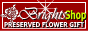 �ץꥶ���֥ɥե�����å�BRIGHTS*withPriza