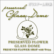 ���饹�ɡ����ý�