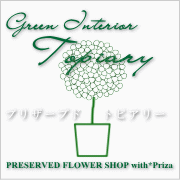 グリーンインテリア プリザーブド トピアリー