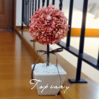 Topiary Basil���ȥԥ��꡼ �Х���