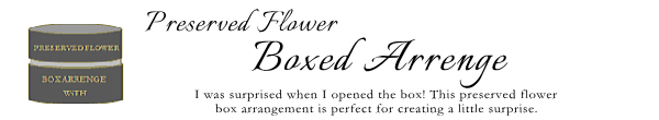 箱入りアレンジ