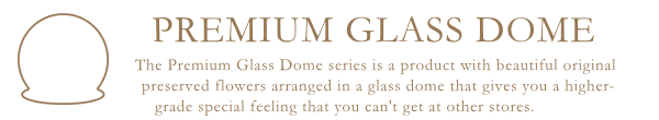 プレミアムガラスドーム
